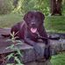 Tony Putnick - Facebook