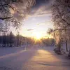 Anthony Quattrone272 - @anthonyquattrone2 - TikTok