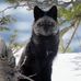 Antony Queen - Facebook