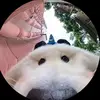 Anthony Raad - @anthony.raad - TikTok