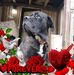 Randolph Anthony - Facebook