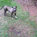 Tony Randolph - Facebook