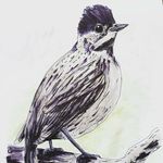 Anthony Ratcliffe - @anthony_ratcliffe_illustration - Instagram