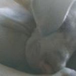 Anthony Ratcliffe's - @anthonyratcliffes - Instagram