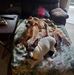 Anthony Raymer - Facebook