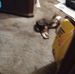 Anthony Reale - Facebook