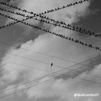 Antony Reguero - Facebook