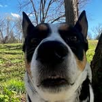 Anthony Renaldo Holliday - @han_banan_tman - Instagram