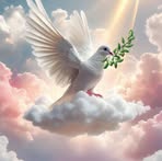 Anthony Renda Sr. - Facebook