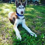 anthony requena - @requena4207 - Instagram