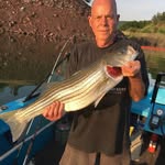Anthony Riccardi - @riccardi3646 - Instagram