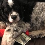 Anthonyriggs - @anthonyriggs2008 - Instagram