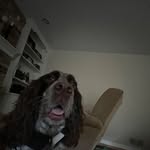Anthony Ritchey - @ritcheyanthony - Instagram