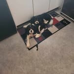 Anthony Tony - @anthony.ritchen24 - Instagram