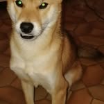 Anthony Rocchio - @anthony.rocchio.148 - Instagram