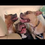 Anthony Rocchio - @anthony.rocchio.3 - Instagram