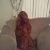 Anthony Rooney - Facebook