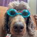 Anthony Rosner - Facebook