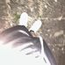 Anthony Rösner - Facebook