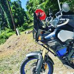 Anthony Royal - @anthony.r51 - Instagram