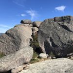 Anthony Saleme - @anthony.saleme - Instagram