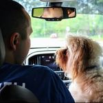 Anthony Sambrano - @halo3rocksanthony - Instagram
