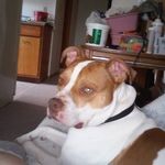 Anthony Sams - @anthony.sams.79 - Instagram