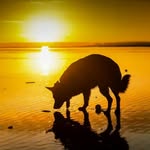 Anthony Sandesh - @anthony.sandesh - Instagram