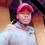 Anthony Sandi - @anthonysandi49 - Instagram