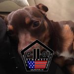 Anthony Saputo - @webecomethree - Instagram