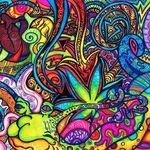 Anthony Sardo - @trippy_leaf - Instagram