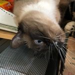 Anthony Sawyer - @otakuthing212 - Instagram