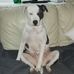Antony Sawyer - Facebook