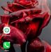Tony Schuck - Facebook