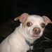 Anthony Sedgwick - Facebook