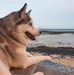 Anthony Sedgwick - Facebook