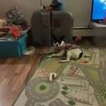 Anthony Shaffer - @anthony.shaffer.146 - Instagram