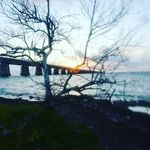 Anthony Shea - @_anthony_shea_ - Instagram