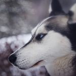 Anthony Sherrod - @anthonysherrod5445 - Instagram