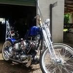 Anthony Simons - @simons2966 - Instagram