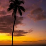 Anthony Simons Fernandez Mendoza - @william_jose_cumare_cariaco_ - Instagram