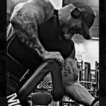 Emilio Anthony Sinapi - @sinzilla_fitness - Instagram