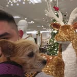 Anthony Solis - @pumpedupanthony - Instagram