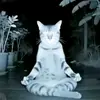 Anthony Solis - @anthony.solis41 - TikTok