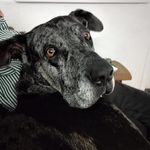 Anthony Squillante - @anthonysquillante - Instagram