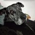Anthony Squillante - Facebook