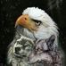 Anthony Squires - Facebook