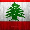 Anthony Srour487☦️🇱🇧 - @lebanonischristian1 - TikTok