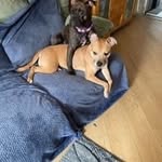 Paul Anthony Stacey - @staceypaulanthony - Instagram