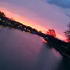 Anthony Stacey - @anthonystacey2 - TikTok